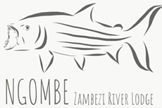 Ngombe Lodge Fishing in Barotseland on the Zambezi River